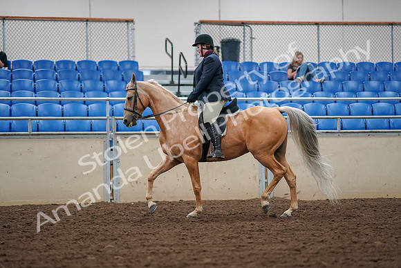 2019 Morgan Horse Show - Aug 30, 2019 - 16232