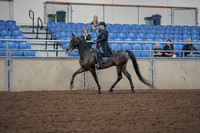 2019 Morgan Horse Show - Aug 30, 2019 - 15292