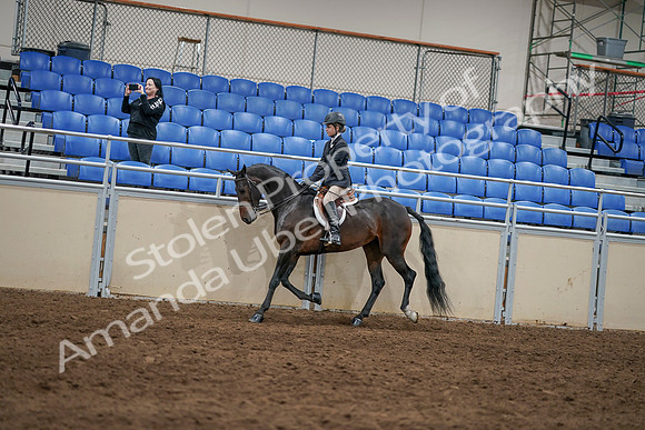 2020 - AB Morgan Horse - Sun, Sept 06 - 07864