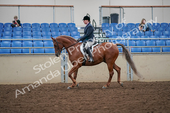 2019 Morgan Horse Show - Aug 30, 2019 - 16193