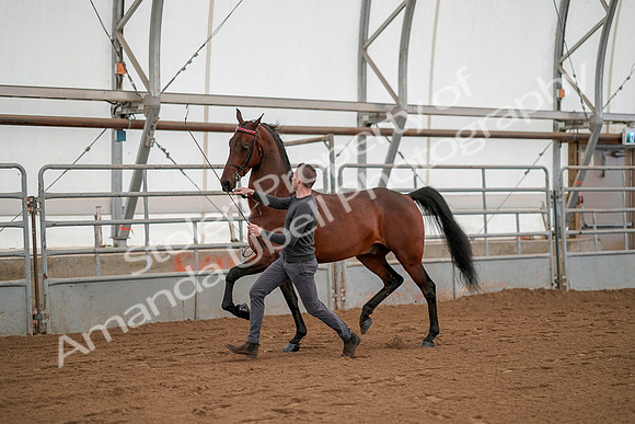 July 19, 2019 - 1173