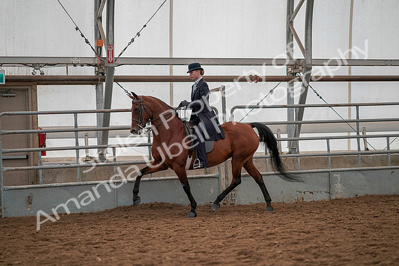 July 19, 2019 - 12982