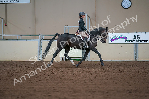 2019 Morgan Horse Show - Aug 30, 2019 - 20781