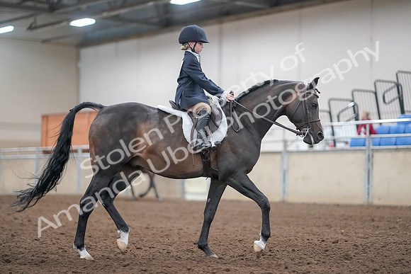 2019 Morgan Horse Show - Aug 31, 2019 - 19576