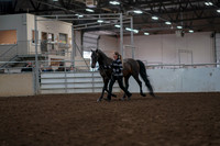 2019 Morgan Horse Show - Aug 31, 2019 - 03387