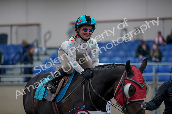 2019 Morgan Horse Show - Aug 31, 2019 - 10245