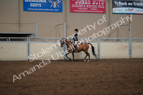 2019 Morgan Horse Show - Aug 30, 2019 - 23267
