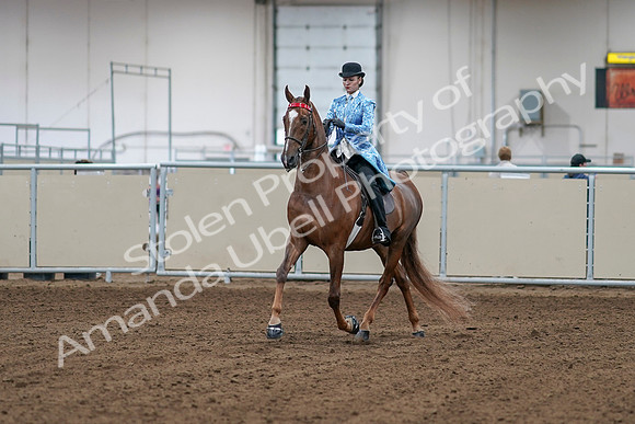 2020 - AB Morgan Horse - Sat, Sept 05 - 06097