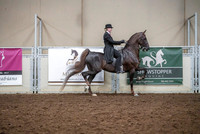 Spring Fling - Saturday - April 20, 2019  -  03612