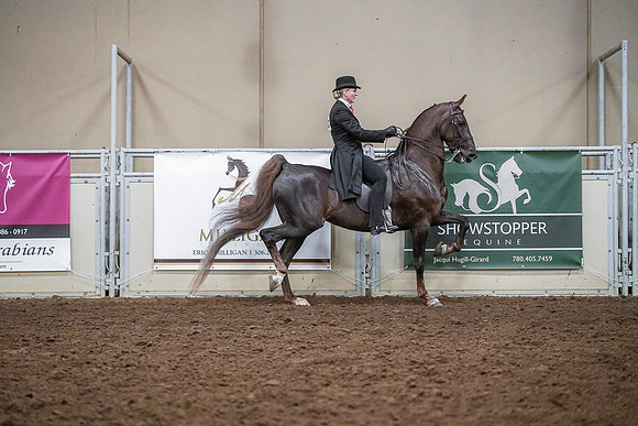 Spring Fling - Saturday - April 20, 2019  -  03612