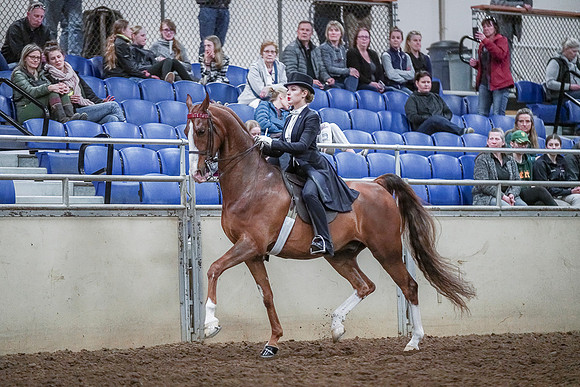 Spring Fling - Saturday - April 20, 2019  -  04380