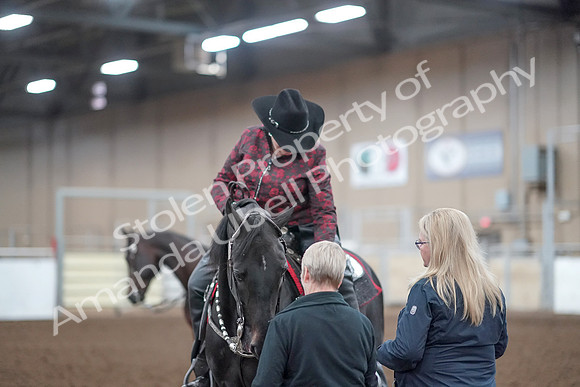 2019 Morgan Horse Show - Aug 31, 2019 - 10808